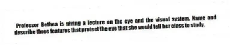 Professor Bethea is giving a lecture on the eye and the visual system. Name and describe three features that protect the eye that she would tell her class to study.