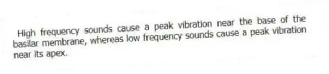 High frequency sounds cause a peak vibration near the base of the basilar membrane, whereas low frequency sounds cause a peak vibration near its apex.