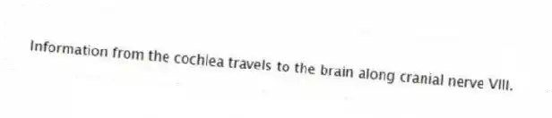  Information from the cochlea travels to the brain along cranial nerve VIII.