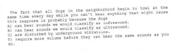 The fact that all dogs in the neighborhood begin to howl at the same time every day while you can't hear anything that might cause this response is probably because the dogs
A) can hear sounds we would classify as infrasound.
B) can hear sounds we would classify as ultrasound.
C) are disturbed by underground vibrations.
D) require more volume before they can hear the same sounds as you do.