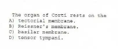 The organ of Corti rests on the
A) tectorial membrane.
B) Reissner's membrane.
C) basilar membrane.
D) tensor tympani.