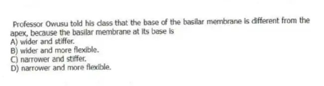 Professor Owusu told his class that the base of the basilar membrane is different from the apex, because the basilar membrane at its base is
A) wider and stiffer.
B) wider and more flexible.
C) narrower and stiffer.
D) narrower and more flexible.