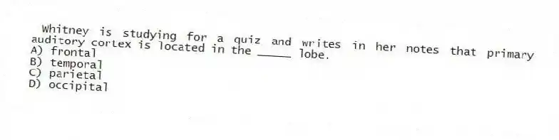 Whitney is studying for a quiz and writes in her notes that primary auditory cortex is located in the _____ lobe.
A) frontal
B) temporal
C) parietal
D) occipital
