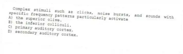 Complex stimuli such as clicks, noise bursts, and sounds with specific frequency patterns particularly activate
A) the superior olive.
B) the inferior colliculi.
C) primary auditory cortex.
D) secondary auditory cortex.