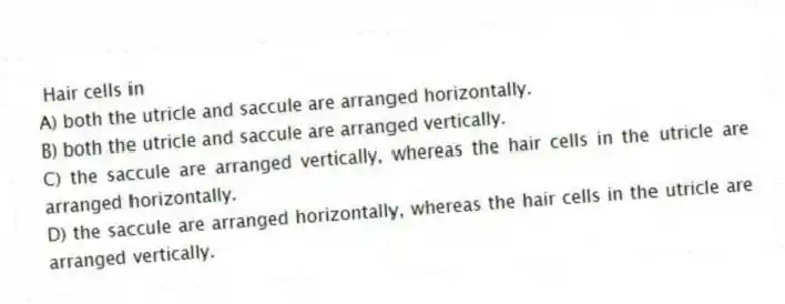 Hair cells in
A) both the utricle and saccule are arranged horizontally.
B) both the utricle and saccule are arranged vertically.
C) the saccule are arranged vertically, whereas the hair cells in the utricle are arranged horizontally.
D) the saccule are arranged horizontally, whereas the hair cells in the utricle are arranged vertically.