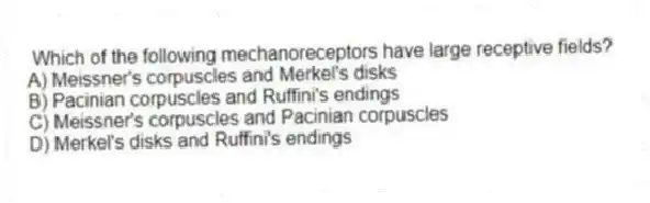 Which of the following mechanoreceptors have large receptive fields?
A) Meissner's corpuscles and Merkel's disks
B) Pacinian corpuscles and Ruffini's endings
C) Meissner's corpuscles and Pacinian corpuscles
D) Merkel's disks and Ruffini's endings