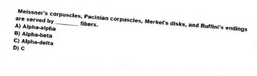 Meissner's corpuscles, Pacinian corpuscles, Merkel's disks, and Ruffini's endings are served by _________ fibers.
A) Alpha-alpha
B) Alpha-beta
C) Alpha-delta
D) C