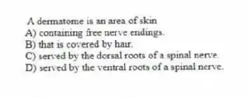  A dermatome is an area of skin
A) containing free nerve endings.
B) that is covered by hair.
C) served by the dorsal roots of a spinal nerve.
D) served by the ventral roots of a spinal nerve.