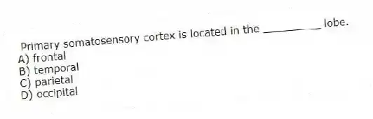 Primary somatosensory cortex is located in the _________ lobe.
A) frontal
B) temporal
C) parietal
D) occipital