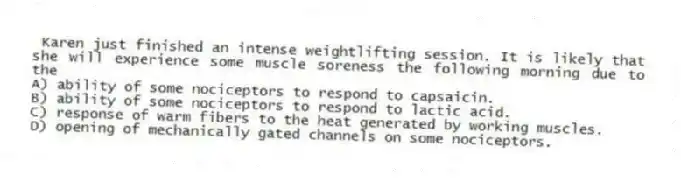 Karen just finished an intense weightlifting session. It is likely that she will experience some muscle soreness the following morning due to the
A) ability of some nociceptors to respond to capsaicin.
B) ability of some nociceptors to respond to lactic acid.
C) response of warm fibers to the heat generated by working muscles.
D) opening of mechanically gated channels on some nociceptors.
