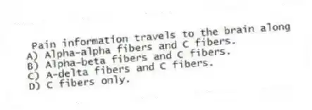 Pain information travels to the brain along
A) Alpha-alpha fibers and C fibers.
B) Alpha-beta fibers and C fibers.
C) A-delta fibers and C fibers.
D) C fibers only.