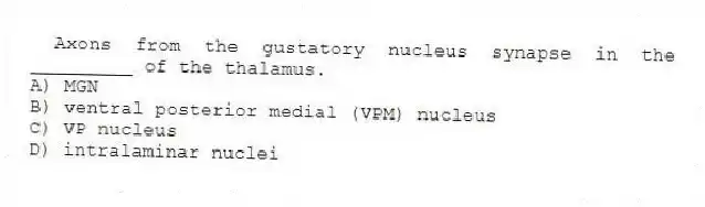 Axons from the gustatory nucleus synapse in the _________ of the thalamus.
A) MGN
B) ventral posterior medial (VPM) nucleus
C) VP nucleus
D) intralaminar nuclei