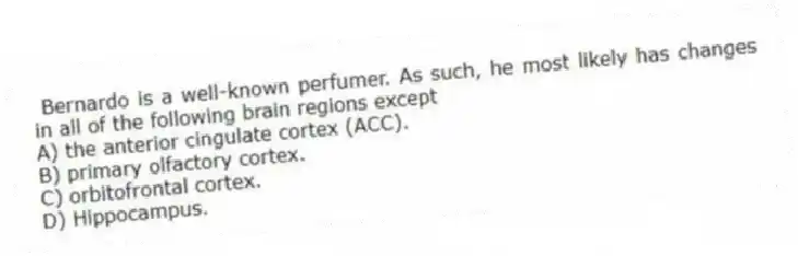 Bernardo is a well-known perfumer. As such, he most likely has changes in all of the following brain regions except
A) the anterior cingulate cortex (ACC).
B) primary olfactory cortex.
C) orbitofrontal cortex.
D) Hippocampus.