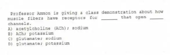  Professor Ammon is giving a class demonstration about how muscle fibers have receptors for ______ that open _____ channels.
A) acetylcholine (ACh); sodium
B) ACh; potassium
C) glutamate; sodium
D) glutamate; potassium