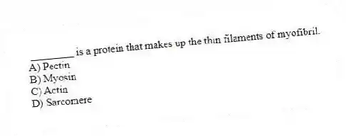 ________ is a protein that makes up the thin filaments of myofibril.
A) Pectin
B) Myosin
C) Actin
D) Sarcomere