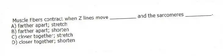  Muscle fibers contract when Z lines move _________ and the sarcomeres _________.
A) farther apart; stretch
B) farther apart; shorten
C) closer together; stretch
D) closer together; shorten