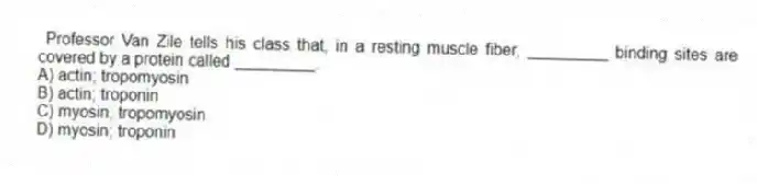Professor Van Zile tells his class that, in a resting muscle fiber, _________ binding sites are covered by a protein called _________.
A) actin; tropomyosin
B) actin; troponin
C) myosin; tropomyosin
D) myosin; troponin
