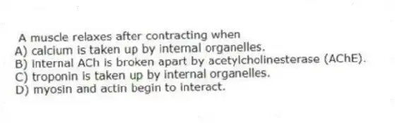 A muscle relaxes after contracting when
A) calcium is taken up by internal organelles.
B) internal ACh is broken apart by acetylcholinesterase (AChE).
C) troponin is taken up by internal organelles.
D) myosin and actin begin to interact.
