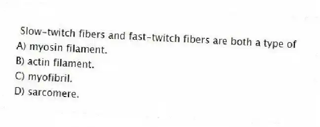 Slow-twitch fibers and fast-twitch fibers are both a type of
A) myosin filament.
B) actin filament.
C) myofibril.
D) sarcomere.
