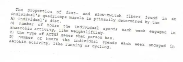The proportion of fast- and slow-twitch fibers found in an individual's quadriceps muscle is primarily determined by the
A) individual's diet.
B) number of hours the individual spends each week engaged in anaerobic activity, like weightlifting.
C) the type of ACTN3 genes that person has.
D) number of hours the individual spends each week engaged in aerobic activity, like running or cycling.
