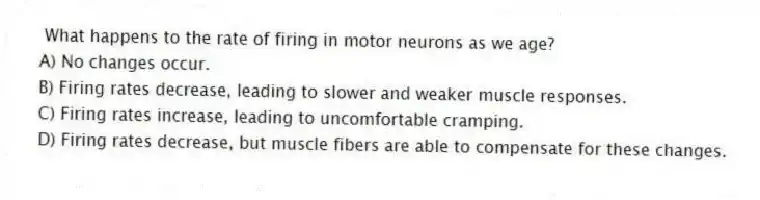 What happens to the rate of firing in motor neurons as we age?
A) No changes occur.
B) Firing rates decrease, leading to slower and weaker muscle responses.
C) Firing rates increase, leading to uncomfortable cramping.
D) Firing rates decrease, but muscle fibers are able to compensate for these changes.