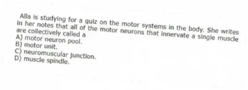 Alla is studying for a quiz on the motor systems in the body. She writes in her notes that all of the motor neurons that innervate a single muscle are collectively called a
A) motor neuron pool.
B) motor unit.
C) neuromuscular junction.
D) muscle spindle.