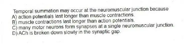 Temporal summation may occur at the neuromuscular junction because
A) action potentials last longer than muscle contractions.
B) muscle contractions last longer than action potentials.
C) many motor neurons form synapses at a single neuromuscular junction.
D) ACh is broken down slowly in the synaptic gap.