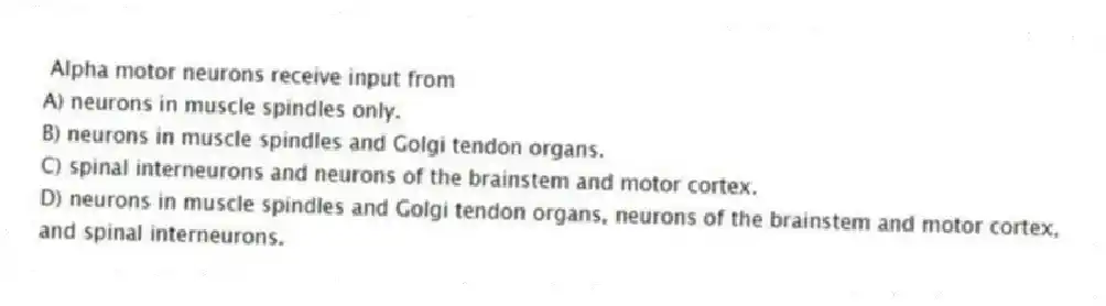  Alpha motor neurons receive input from
A) neurons in muscle spindles only.
B) neurons in muscle spindles and Golgi tendon organs.
C) spinal interneurons and neurons of the brainstem and motor cortex.
D) neurons in muscle spindles and Golgi tendon organs, neurons of the brainstem and motor cortex, and spinal interneurons.