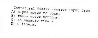 Intrafusal fibers receive input from
A) alpha motor neurons.
B) gamma motor neurons.
C) Ia sensory fibers.
D) C fibers.