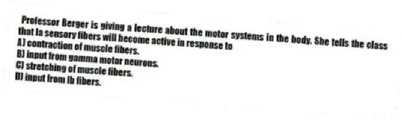 Professor Berger is giving a lecture about the motor systems in the body. She tells the class that Ia sensory fibers will become active in response to
A) contraction of muscle fibers.
B) input from gamma motor neurons.
C) stretching of muscle fibers.
D) input from Ib fibers.