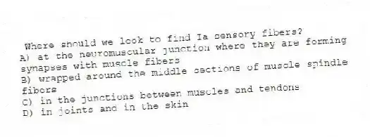Where should we look to find Ia sensory fibers?
A) at the neuromuscular junction where they are forming synapses with muscle fibers
B) wrapped around the middle sections of muscle spindle fibers
C) in the junctions between muscles and tendons
D) in joints and in the skin