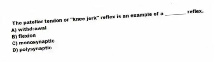 The patellar tendon or "knee jerk" reflex is an example of a _________ reflex.
A) withdrawal
B) flexion
C) monosynaptic
D) polysynaptic