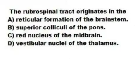 The rubrospinal tract originates in the
A) reticular formation of the brainstem.
B) superior colliculi of the pons.
C) red nucleus of the midbrain.
D) vestibular nuclei of the thalamus.