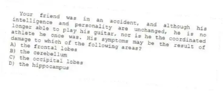 Your friend was in an accident, and although his intelligence and personality are unchanged, he is no longer able to play his guitar, nor is he the coordinated athlete he once was. His symptoms may be the result of damage to which of the following areas?
A) the frontal lobes
B) the cerebellum
C) the occipital lobes
D) the hippocampus