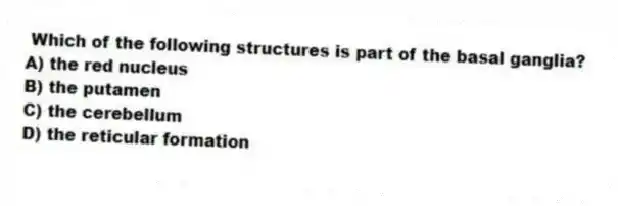 Which of the following structures is part of the basal ganglia?
A) the red nucleus
B) the putamen
C) the cerebellum
D) the reticular formation