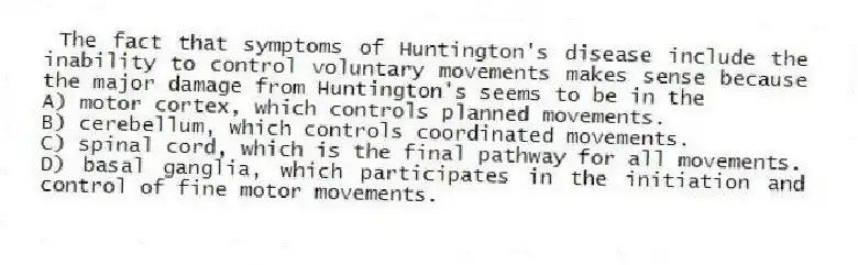 The fact that symptoms of Huntington's disease include the inability to control voluntary movements makes sense because the major damage from Huntington's seems to be in the
A) motor cortex, which controls planned movements.
B) cerebellum, which controls coordinated movements.
C) spinal cord, which is the final pathway for all movements.
D) basal ganglia, which participates in the initiation and control of fine motor movements.