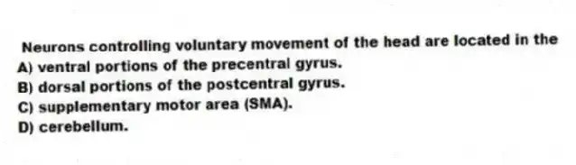  Neurons controlling voluntary movement of the head are located in the
A) ventral portions of the precentral gyrus.
B) dorsal portions of the postcentral gyrus.
C) supplementary motor area (SMA).
D) cerebellum.