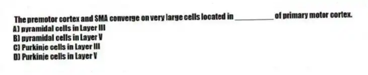 The premotor cortex and SMA converge on very large cells located in _________ of primary motor cortex.
A) pyramidal cells in Layer III
B) pyramidal cells in Layer V
C) Purkinje cells in Layer III
D) Purkinje cells in Layer V