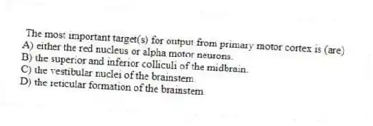 The most important target(s) for output from primary motor cortex is (are)
A) either the red nucleus or alpha motor neurons.
B) the superior and inferior colliculi of the midbrain.
C) the vestibular nuclei of the brainstem.
D) the reticular formation of the brainstem.