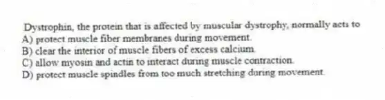 Dystrophin, the protein that is affected by muscular dystrophy, normally acts to
A) protect muscle fiber membranes during movement.
B) clear the interior of muscle fibers of excess calcium.
C) allow myosin and actin to interact during muscle contraction.
D) protect muscle spindles from too much stretching during movement.
