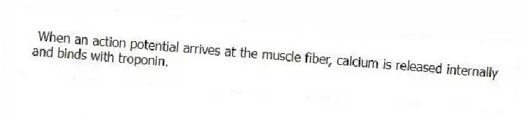 When an action potential arrives at the muscle fiber, calcium is released internally and binds with troponin.