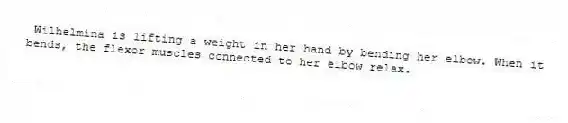 Wilhelmina is lifting a weight in her hand by bending her elbow. When it bends, the flexor muscles connected to her elbow relax.