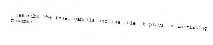 Describe the basal ganglia and the role it plays in initiating movement.