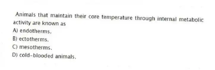 Animals that maintain their core temperature through internal metabolic activity are known as
A) endotherms.
B) ectotherms.
C) mesotherms.
D) cold-blooded animals.