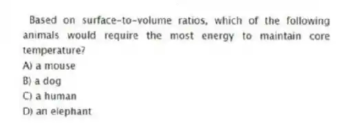 Based on surface-to-volume ratios, which of the following animals would require the most energy to maintain core temperature?
A) a mouse
B) a dog
C) a human
D) an elephant