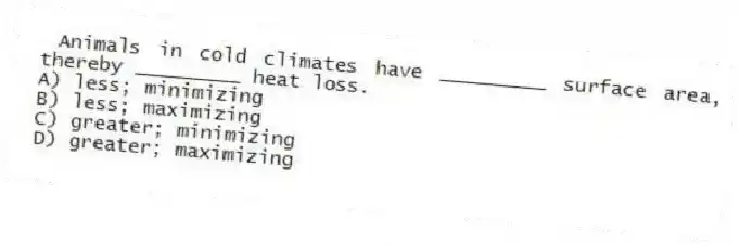 Animals in cold climates have _________ surface area, thereby _________ heat loss.
A) less; minimizing
B) less; maximizing
C) greater; minimizing
D) greater; maximizing