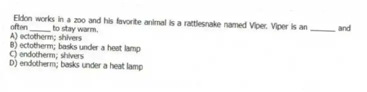 Eldon works in a zoo and his favorite animal is a rattlesnake named Viper. Viper is an ______ and often _____ to stay warm.
A) ectotherm; shivers
B) ectotherm; basks under a heat lamp
C) endotherm; shivers
D) endotherm; basks under a heat lamp