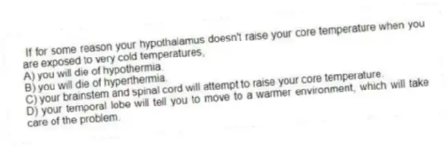 If for some reason your hypothalamus doesn't raise your core temperature when you are exposed to very cold temperatures,
A) you will die of hypothermia.
B) you will die of hyperthermia.
C) your brainstem and spinal cord will attempt to raise your core temperature.
D) your temporal lobe will tell you to move to a warmer environment, which will take care of the problem.