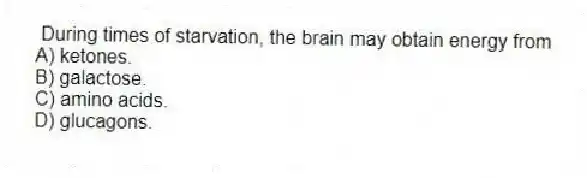 During times of starvation, the brain may obtain energy from
A) ketones.
B) galactose.
C) amino acids.
D) glucagons.