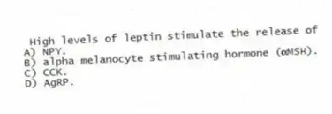  High levels of leptin stimulate the release of
A) NPY.
B) alpha melanocyte stimulating hormone (αMSH).
C) CCK.
D) AgRP.